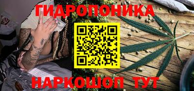 apvp Гусев