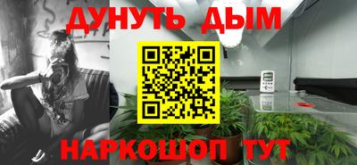 apvp Гусев