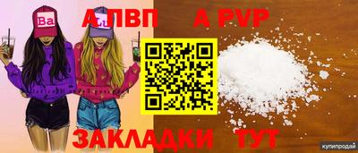 apvp Гусев