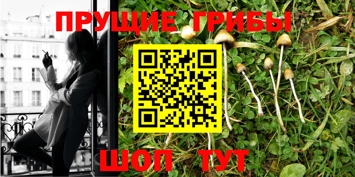 магазин продажи   Псилоцибиновые грибы Psilocybe  Вход с VPN  Казань 